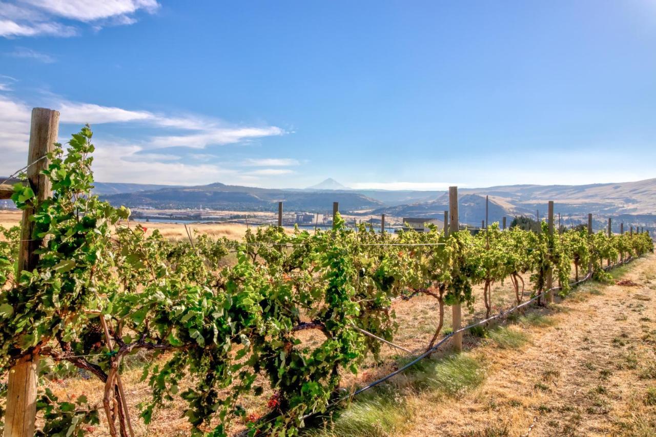Grapevine Lodge Dallesport Esterno foto